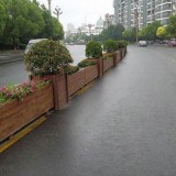 浦城縣城區街道設置隔離花箱為城市增添節日色彩